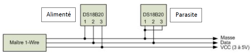 one_wire4.png